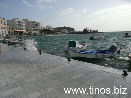 notias 051