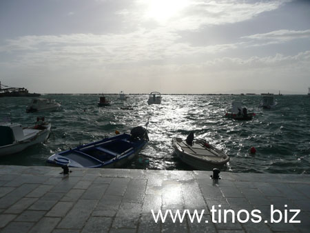 notias 053