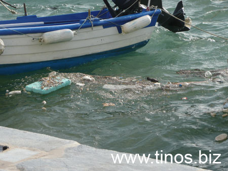 notias 056
