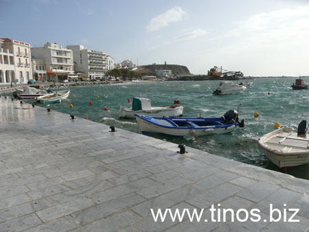 notias 058