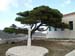 marble_school_pirgos_002