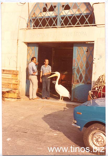 tinos-old-foto-1