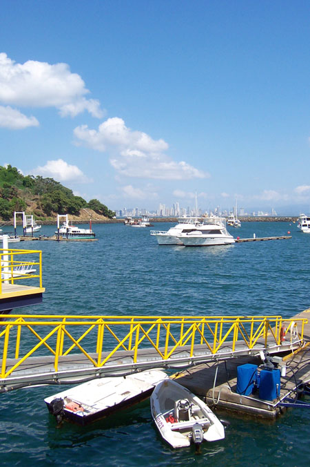 AMADOR 11