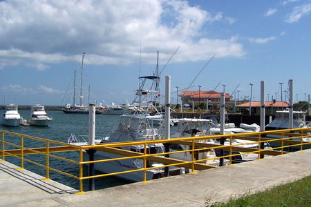 AMADOR 12
