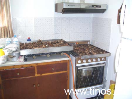 Mirsini_2007_12