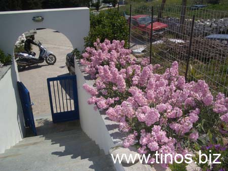 Mirsini_2007_19