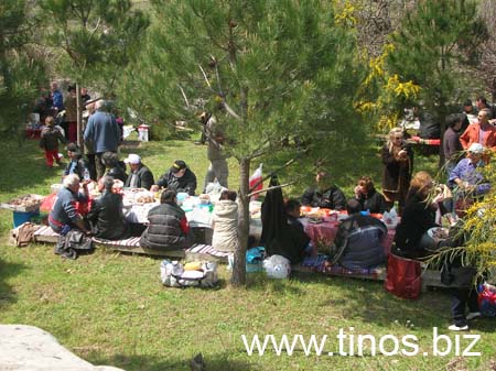 volax_2007 005