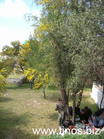 volax_2007 019