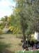 volax_2007 019