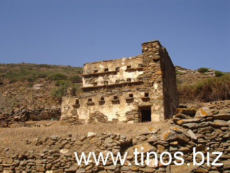 DSC00707