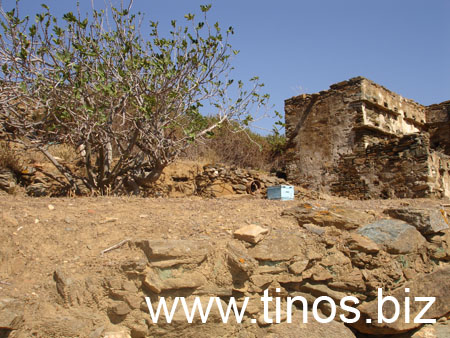 DSC00708