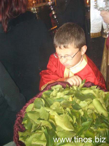 perifora 009