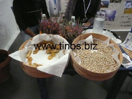 greece_bulgaria 807