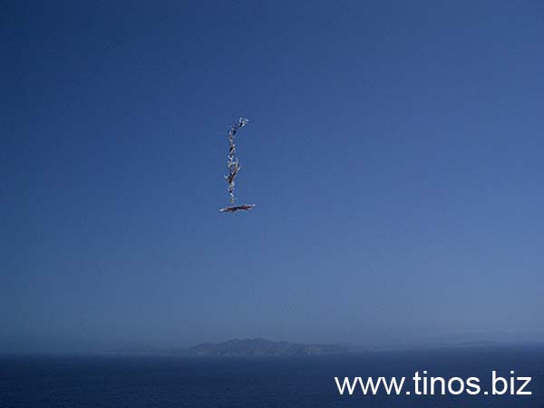 shrove-076