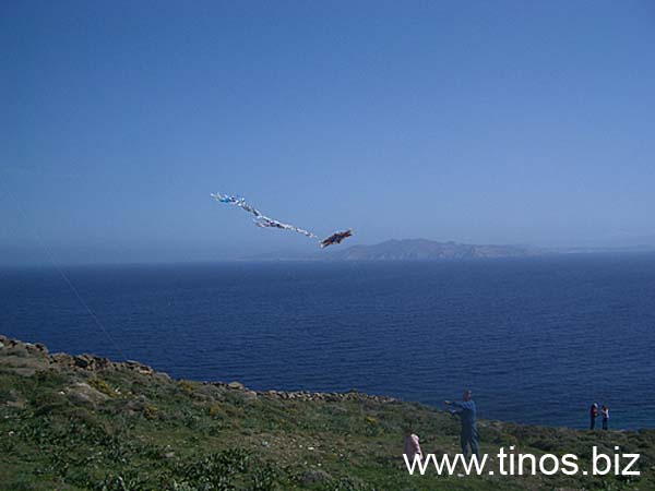 shrove-080