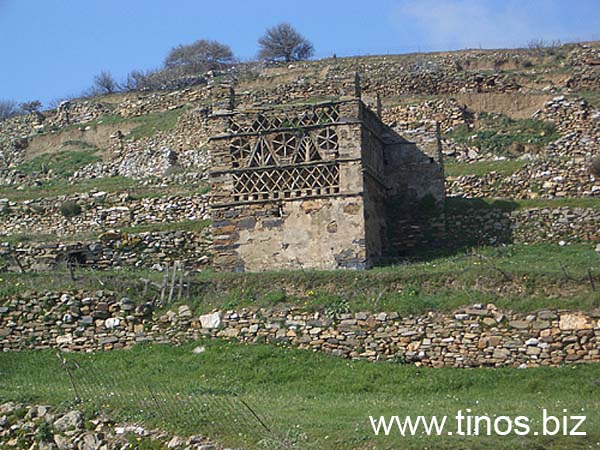 shrove-096