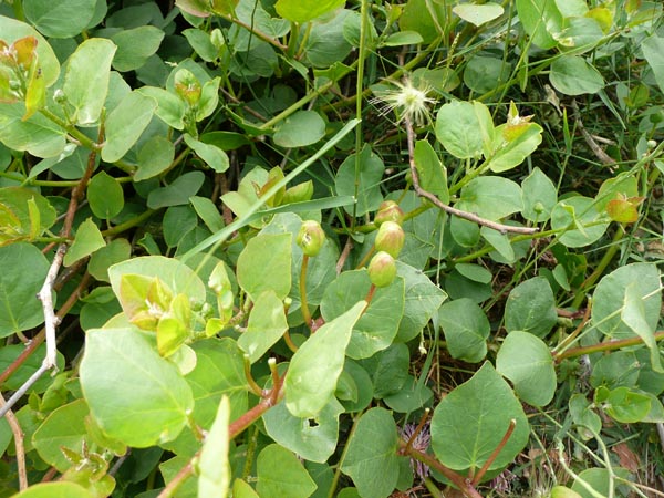 exhibition_xinara 007