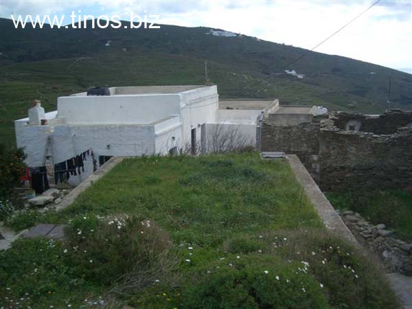 trifonas 064
