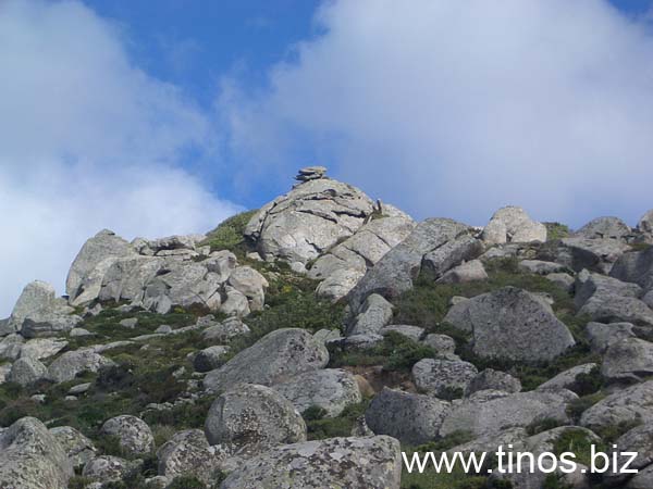 volax_2006-004