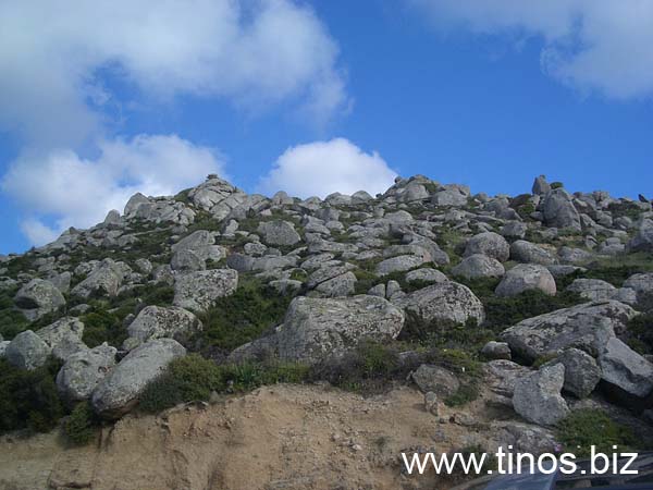 volax_2006-007