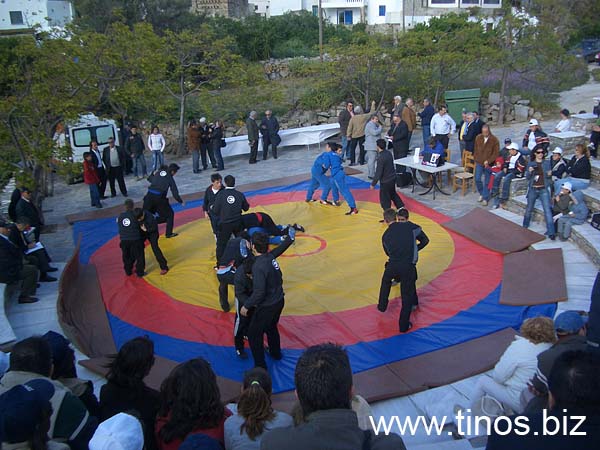 volax_2006-015
