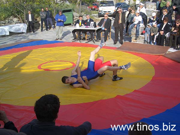 volax_2006-037