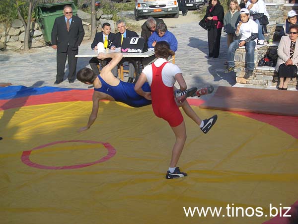 volax_2006-066