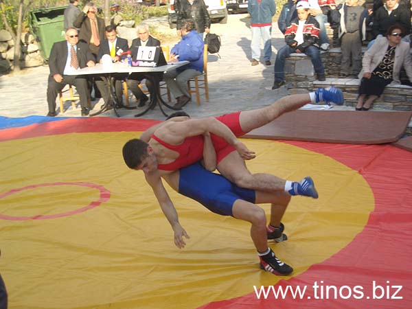 volax_2006-119