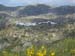 volax_2006-003
