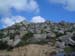 volax_2006-007