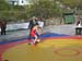 volax_2006-056