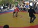 volax_2006-107