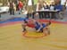 volax_2006-147