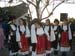 volax_2006-205