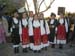 volax_2006-206